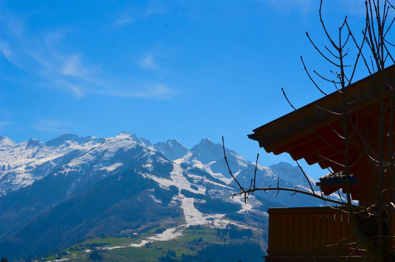 Apt Mountain View By - Alpen Apartments Zell am See Exterior foto